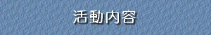 活動内容
